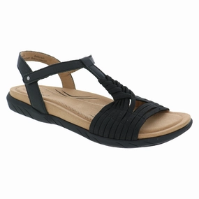 No Tightness Chill Gear BIZA KATE