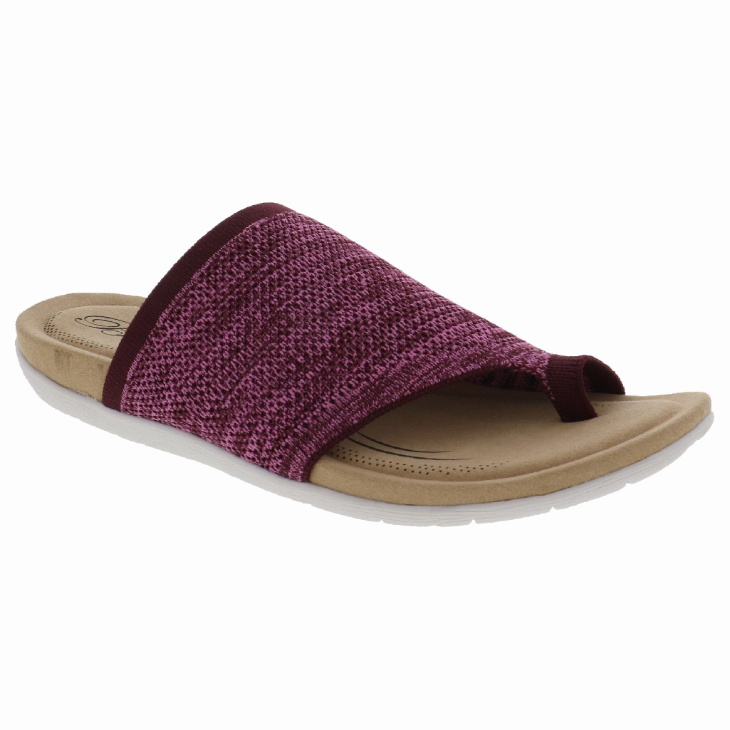 BIZA LAVISH MULTI Sandal Buckles Fashion-Forward Design