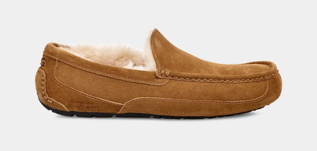 Enhanced silhouette UGG MEN'S ASCOT - CHESTNUT