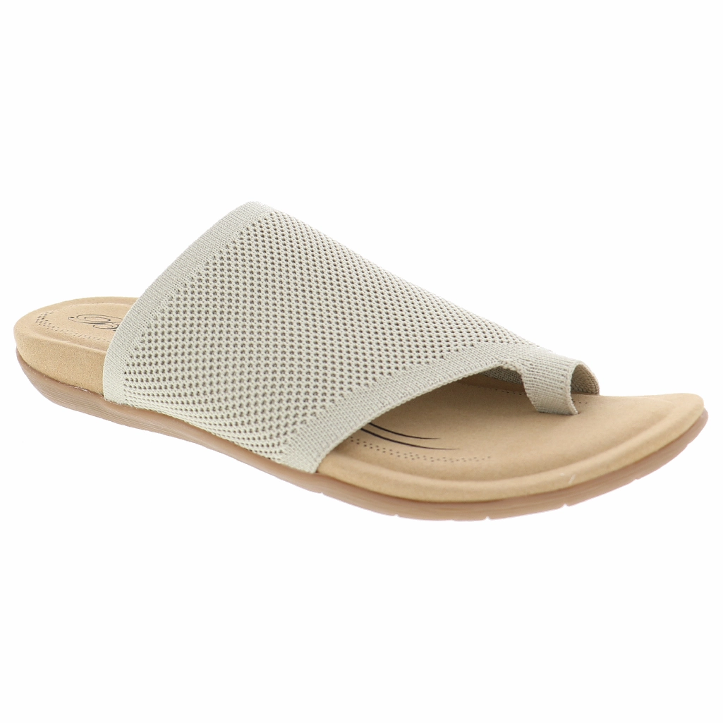 BIZA LAVISH Neutral Color Lite Wear