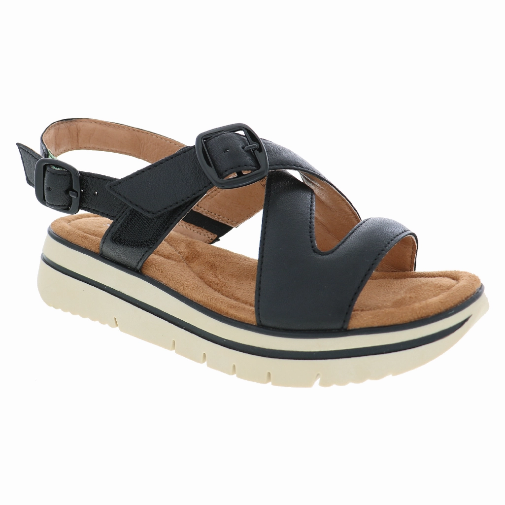 Contoured Shape SALVIA ASTRID